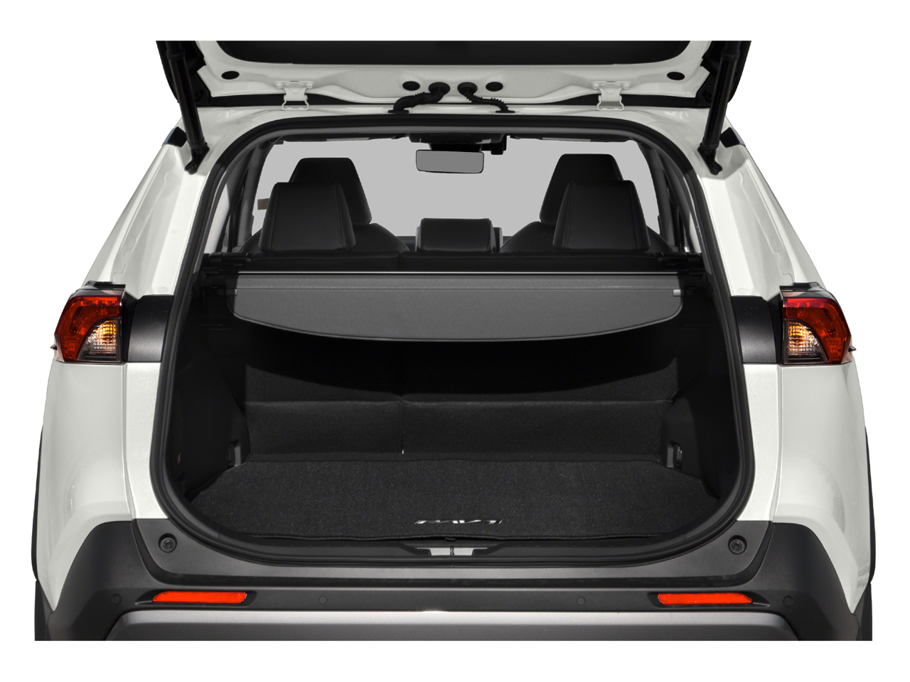 2019 Toyota RAV4 Limited photo 4