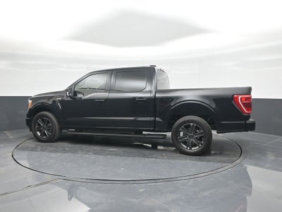 2023 Ford F-150 XLT 302
