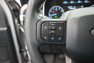2023 Ford F-150 XL STX V8