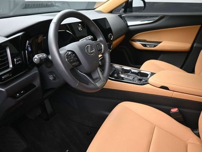 2025 Lexus NX 250 Premium