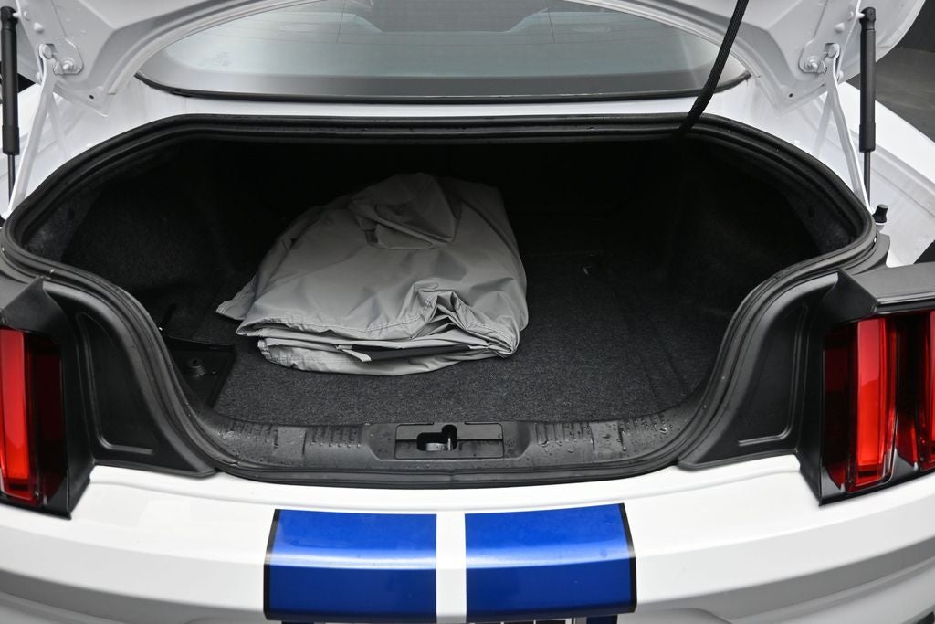 2017 Ford Mustang Shelby GT350