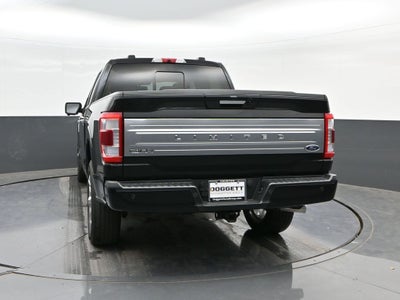 2023 Ford F-150 Limited