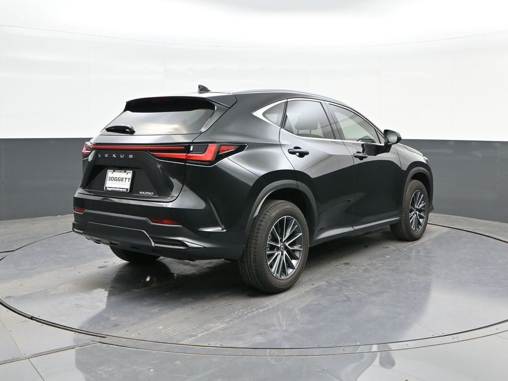 2025 Lexus NX 250 Premium