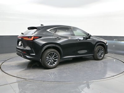 2025 Lexus NX 250 Premium