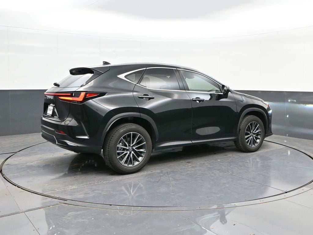 2025 Lexus NX 250 Premium