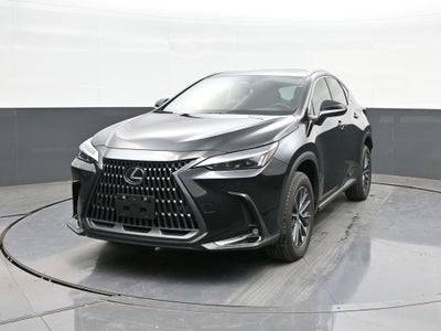 2025 Lexus NX 250 Premium