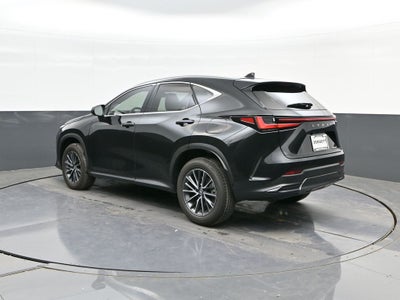 2025 Lexus NX 250 Premium