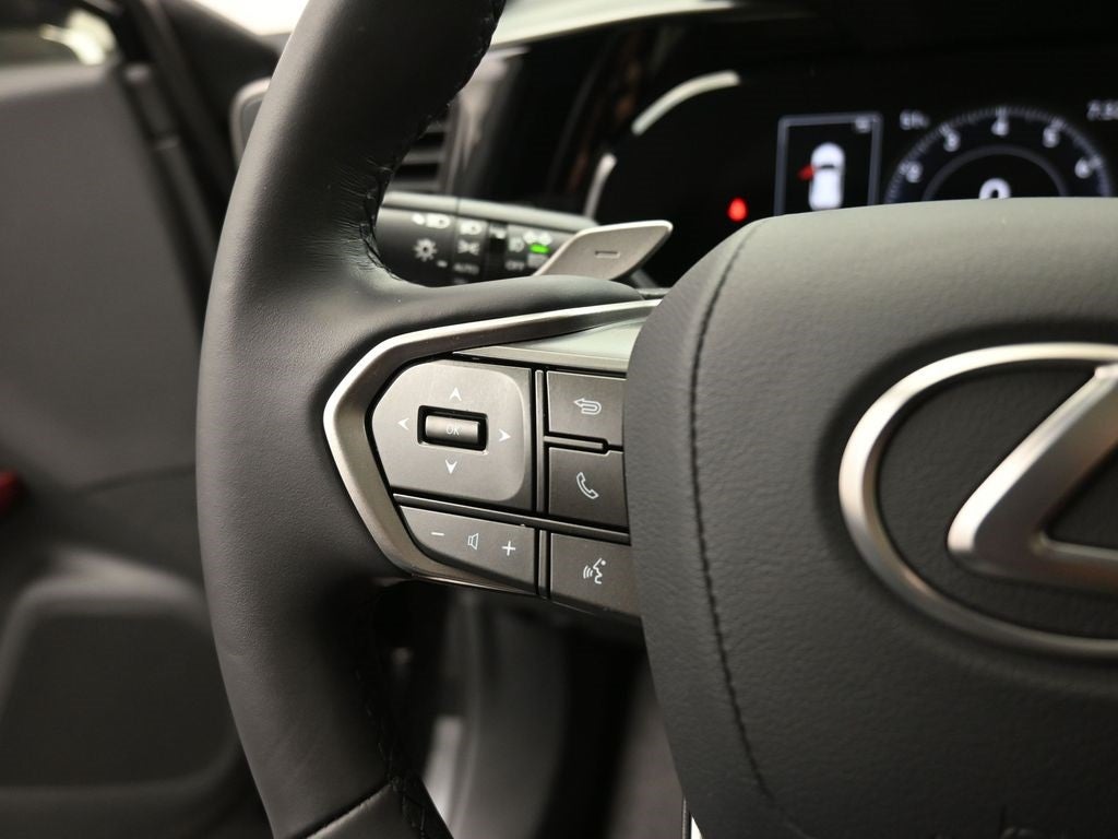 2025 Lexus NX 250 Premium