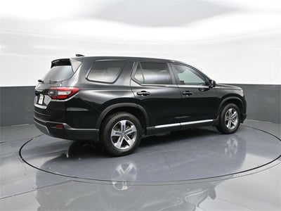 2024 Honda Pilot EX-L 8 Passenger