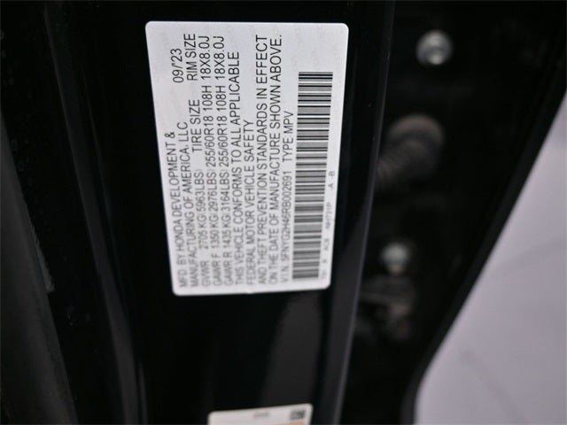 2024 Honda Pilot EX-L 8 Passenger